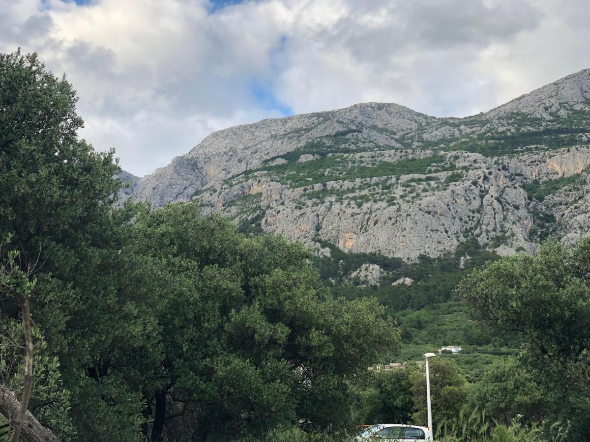 Apartment Flora Makarska Bagian luar foto